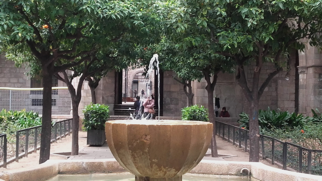 Aigua baixa al Raval de Barcelona: història, clima i paisatge