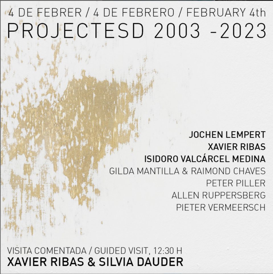 2a part de l’exposició ProjecteSD 2003-2023